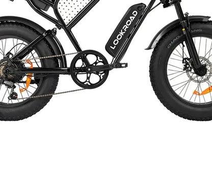 LOOKROAD L20 MIN electric bike motor, crank and wheel component detail