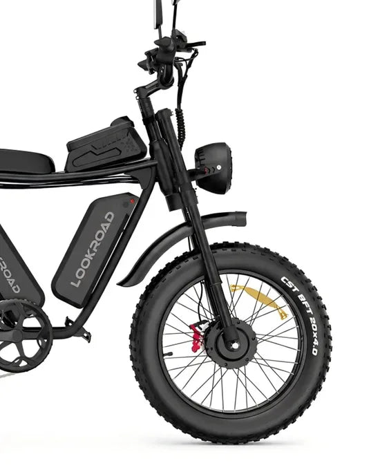 LOOKROAD PRO30 electric bike front wheel, fork and brake detail