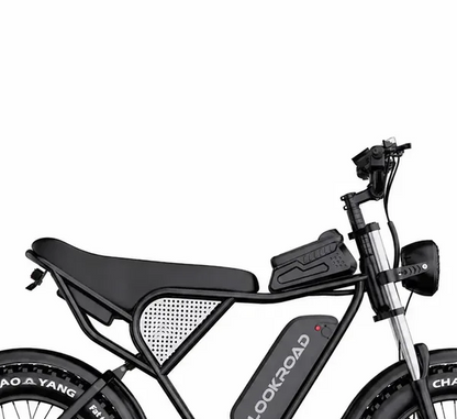 LOOKROAD Q30 electric bike handlebar, display and cockpit detail