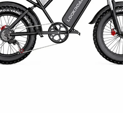 LOOKROAD Q30 electric bike motor, crank and wheel component detail