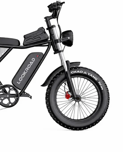 LOOKROAD Q30 electric bike front wheel, fork and brake detail