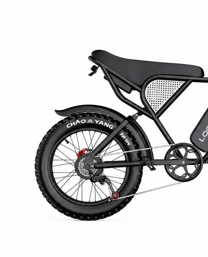 LOOKROAD Q30 electric bike rear wheel, drivetrain and frame detail