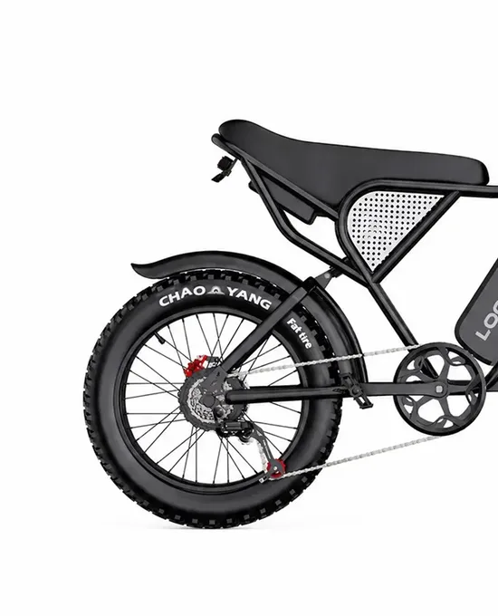 LOOKROAD Q30 electric bike rear wheel, drivetrain and frame detail