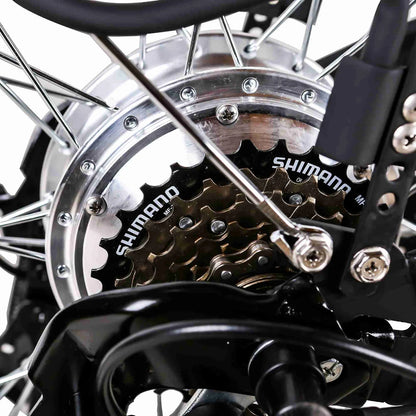 NAKTO Camel 2 rear hub motor detail