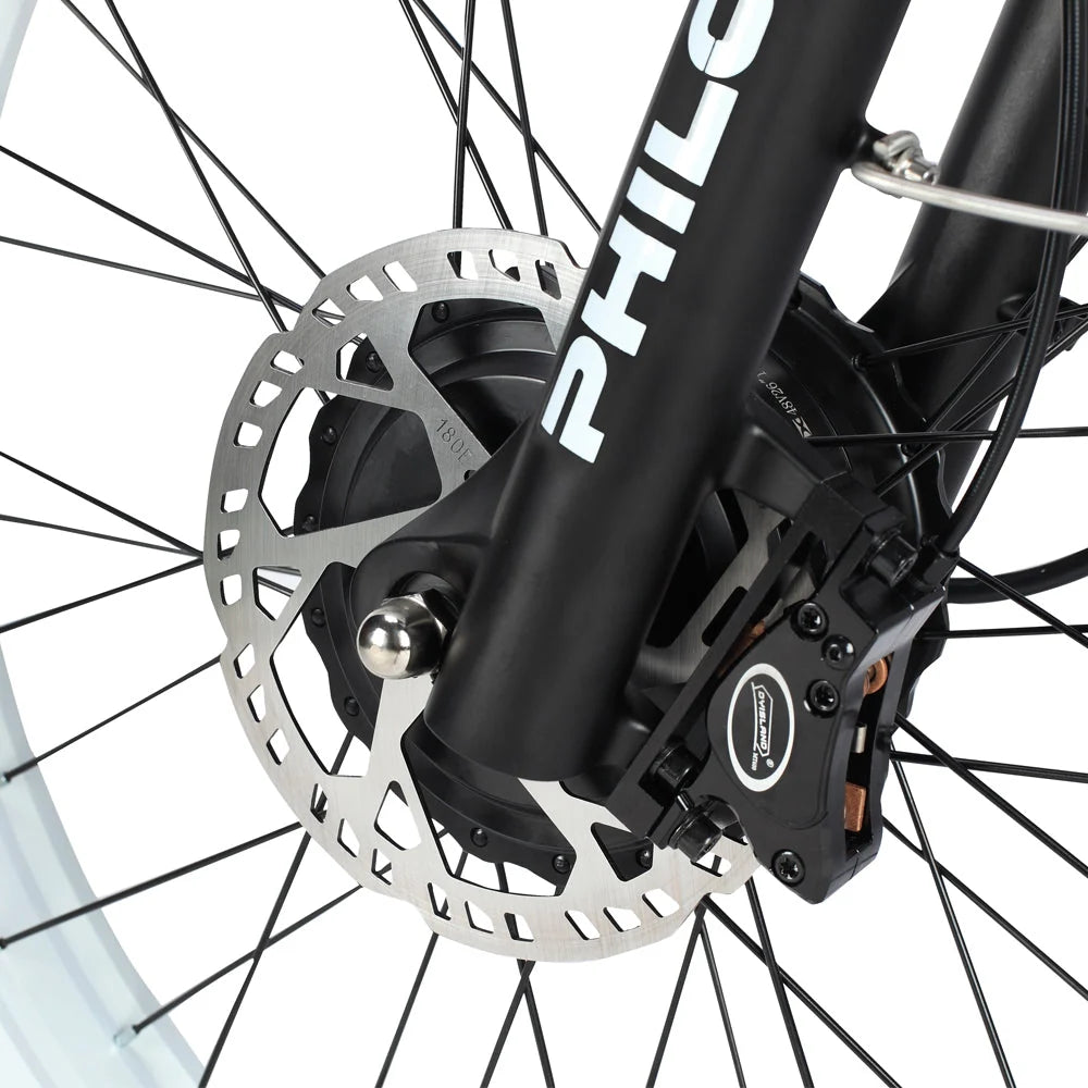 PHILODO H8 hydraulic disc brake