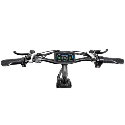 PHILODO H8 handlebar controls and color display