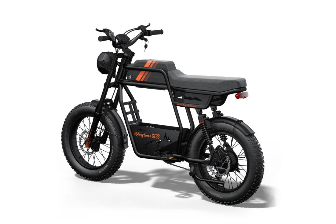 Riding Times GT33 single-battery electric cargo bike, opposite rear three-quarter view on white