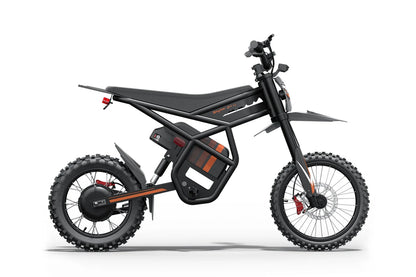 Riding Times GT54 Pro black electric dirt bike, rear-side view on white