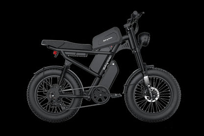 Riding Times Z8 Pro dual-battery fat tire electric bike side view